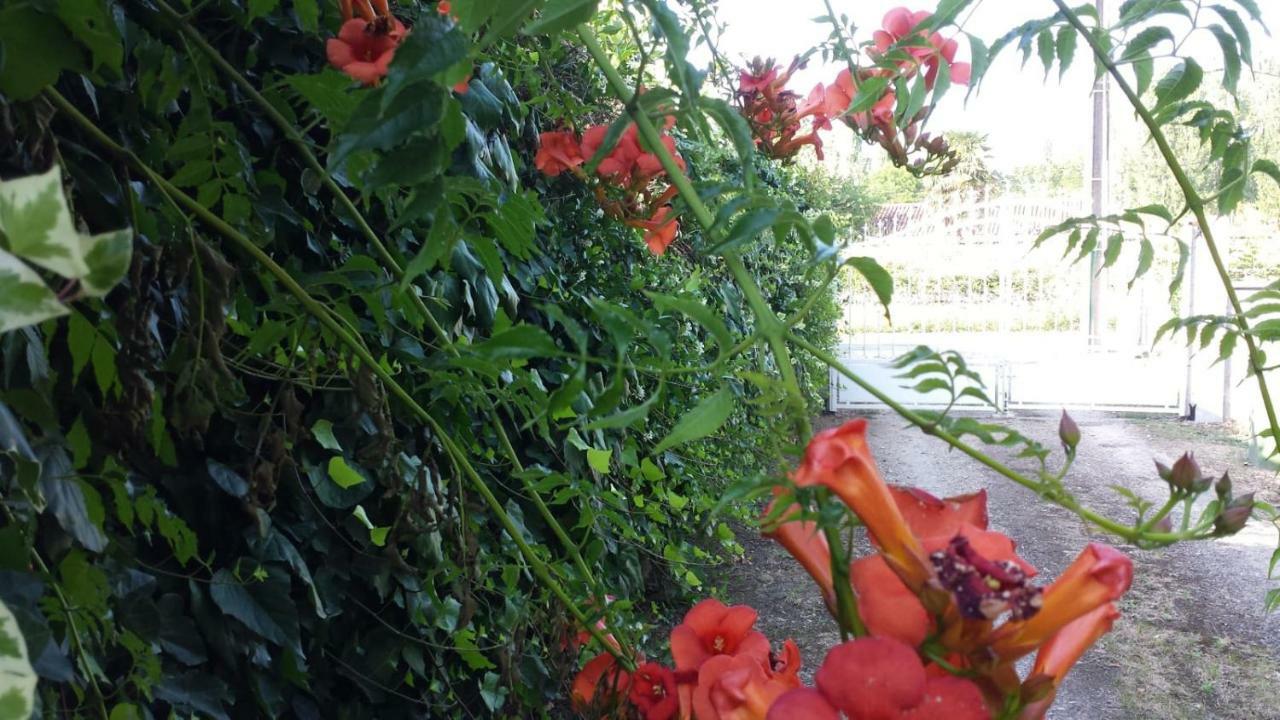 Ma Maison Familiale Portesienne Portets Luaran gambar